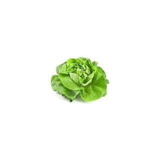 Salade laitue 500g