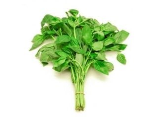 Basilic frais 1bote (rabta)