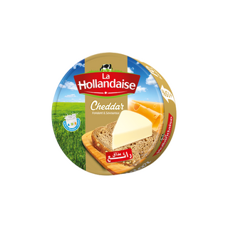 la hollandaise cheddar sw x16pcs