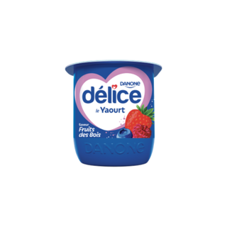 Yaourt Aromatise 100g Delice Fruit Bois - 140