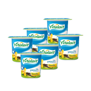 Yaourt Aromatise 100g Vitalait Vanille - 413