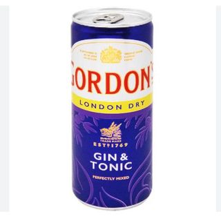 Gordons G&T Dry Tonic Gin 330ml can