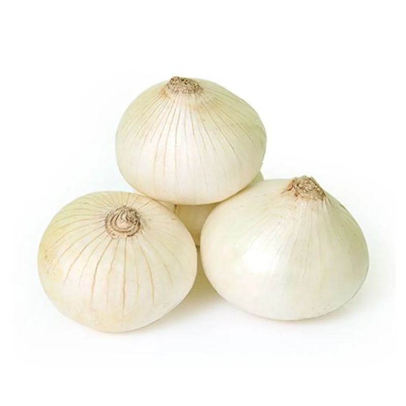 White Onions, Regular