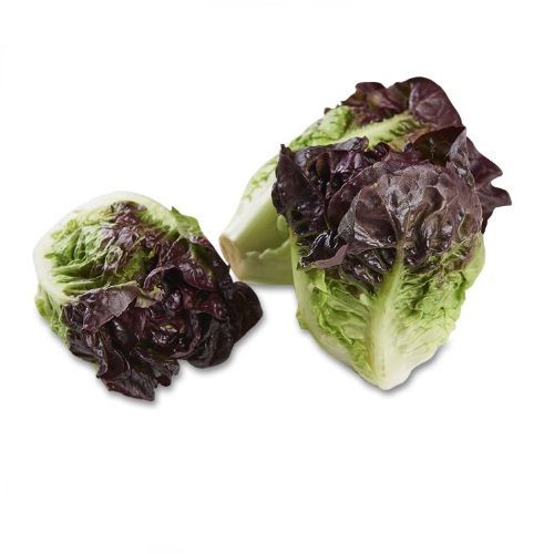 Salades et Herbes Fraiches