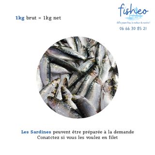 Sardines Fraîches (1kg)