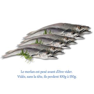 Merlan Friture (500g)
