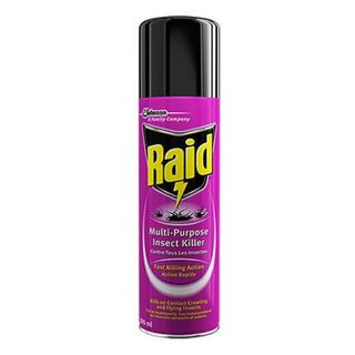 Raid It Multipurpose Insect Spray 300Ml