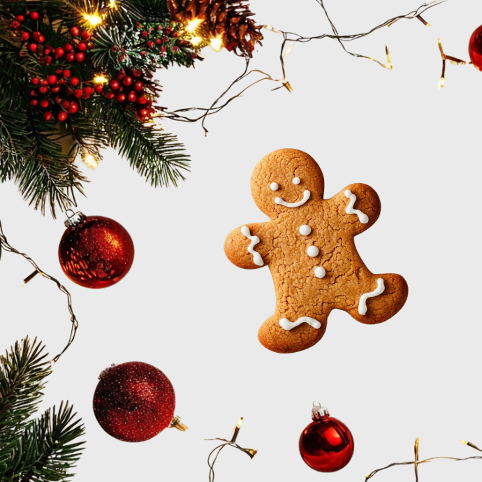 Offres Spéciales De Noël