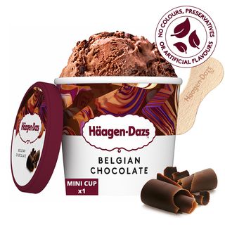Glace Haagen Dazs Mini Pot Chocolat Belge 100ml