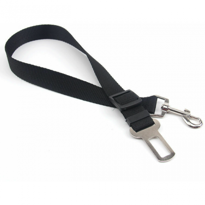 Accessoires animalerie.