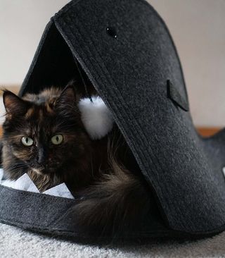 Niche Pour Chat 2Ass-942461-