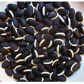 Njahi