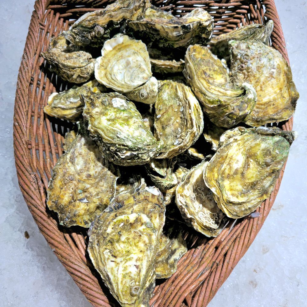 Fruits de Mer, Coquillages.