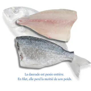Filets de Daurade (500g)