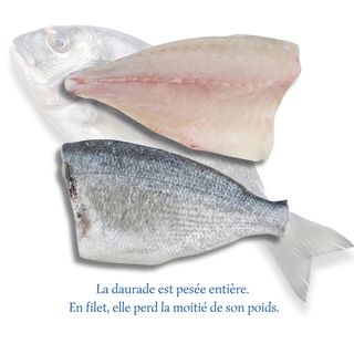 Filets de Daurade (500g)