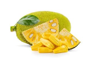 Fresh Jack Fruit, Whole, 2 packs