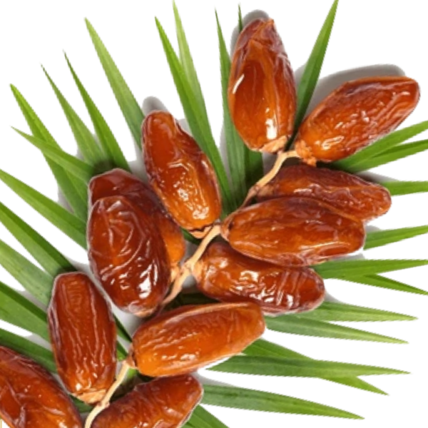 Fruits Secs et Poudre.