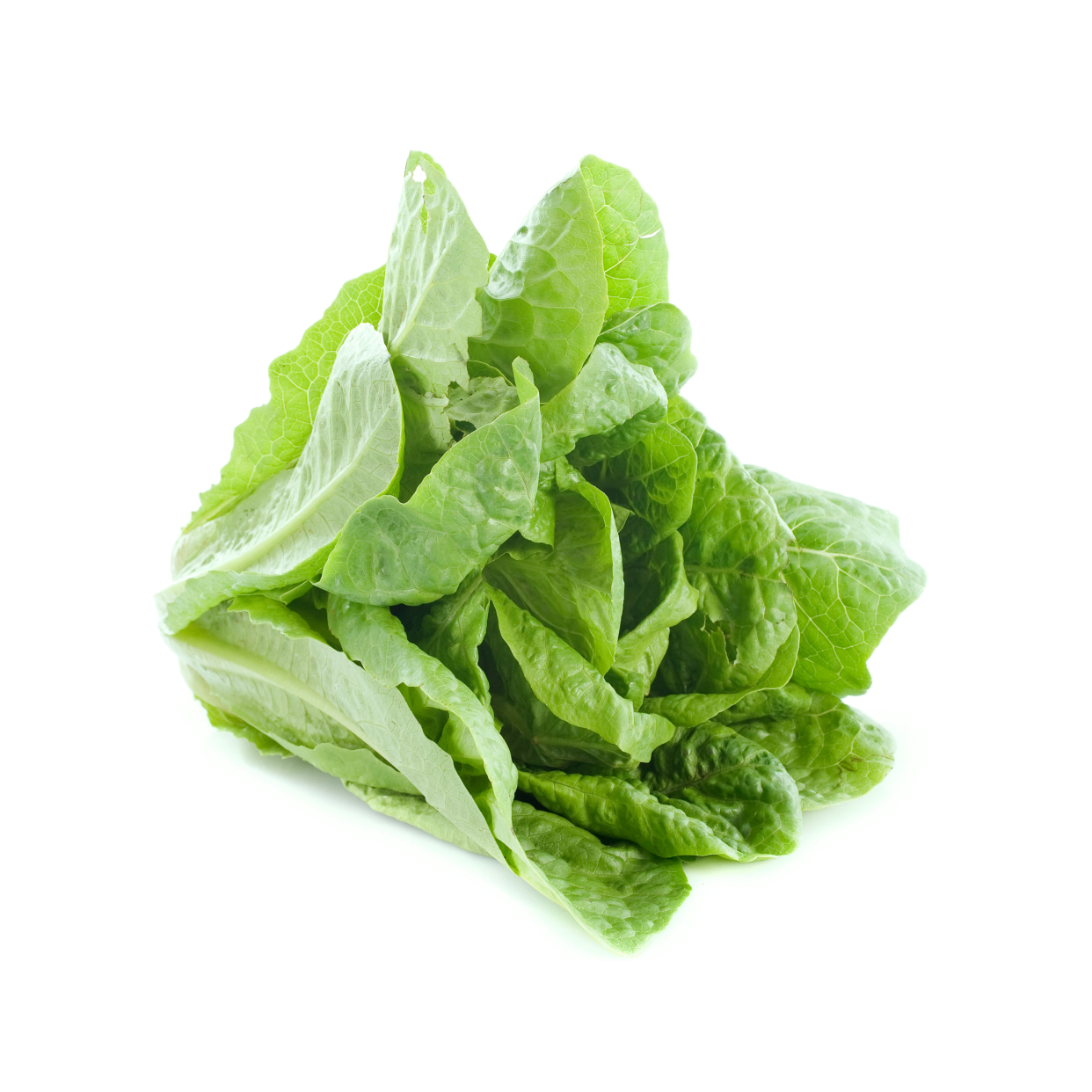 salade traditionnelle local