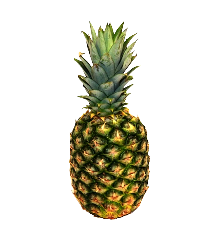 Fruits