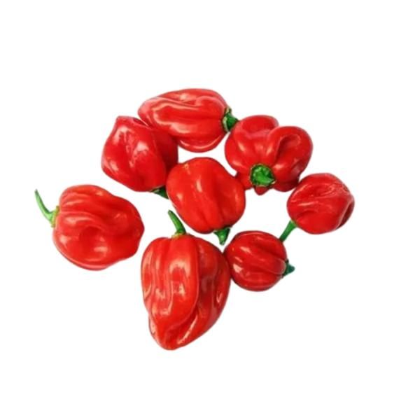 Pepper Rodo 200G (A Portion)