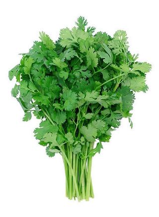 Coriander Coat Meal, 1 Pack
