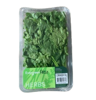 Evergreen Coriander 50g