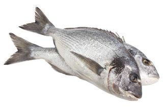 Fresh Fish, Single Pack, 1 piece
