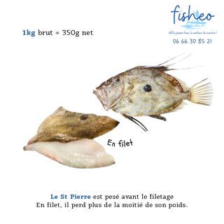 Filet de Saint Pierre (1kg)
