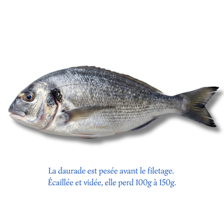 Daurade (500g)