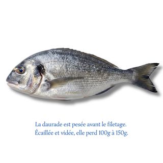Daurade (500g)