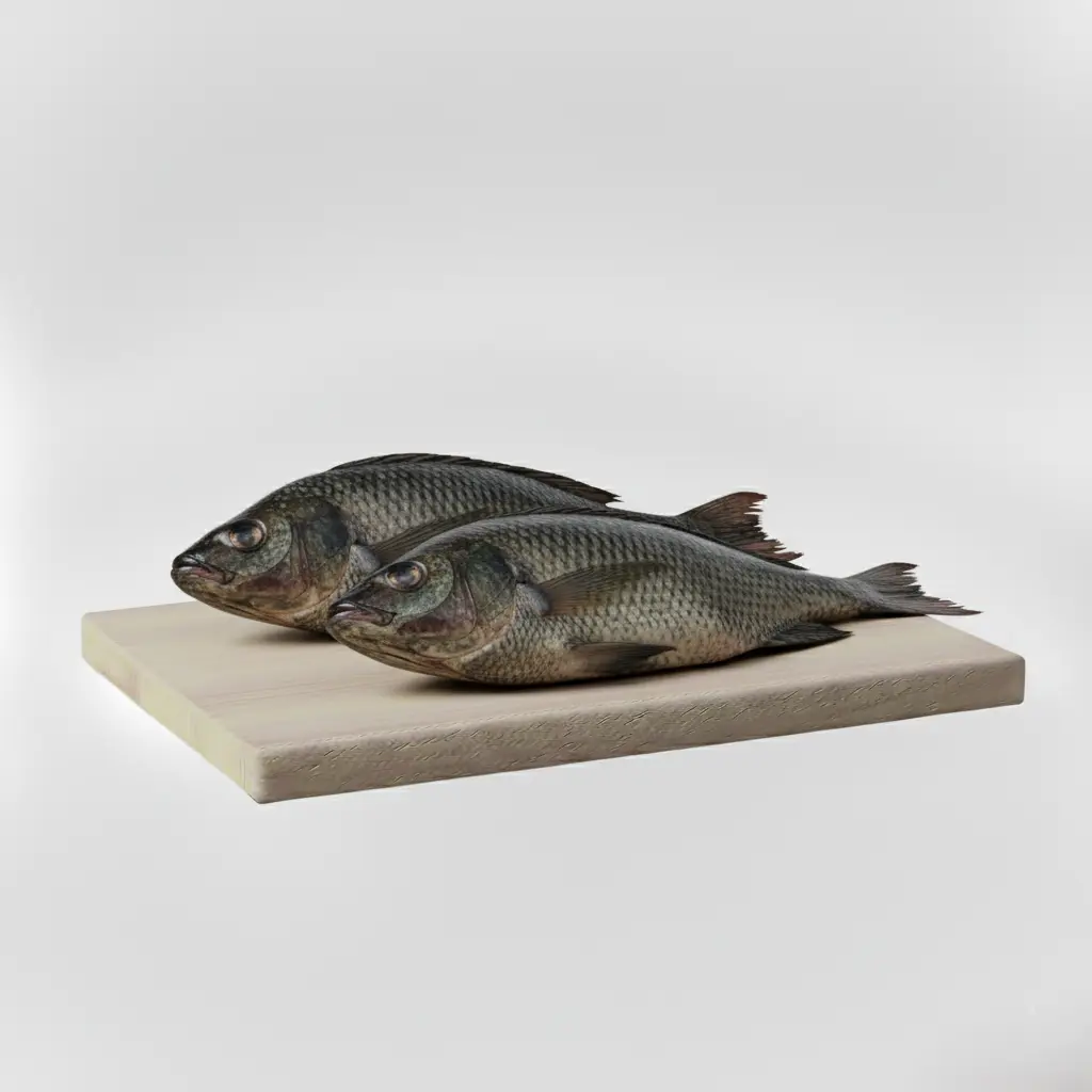 Tilapia ®