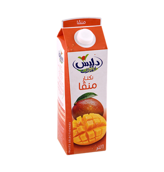 Nectar mangue DELICE 1L  - 100