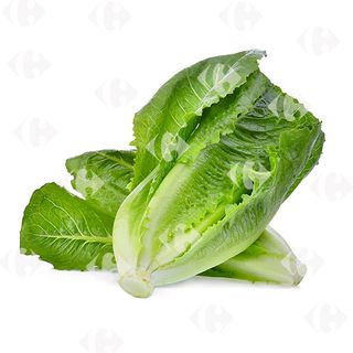 Salade Laitue Romaine à La Pièce.