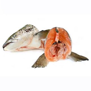 Fresh Salmon Head Pkg