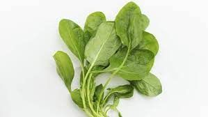 Fresh Regular Spinach, Loose, Per kg