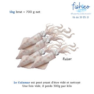 Calamar Entier (1kg)