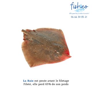 Raie (pièce +1kg)