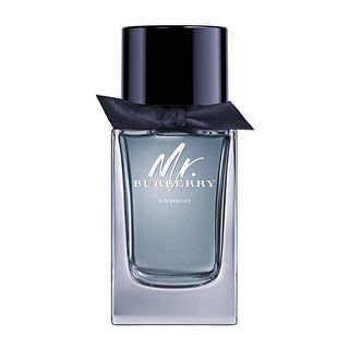 Mr. Burberry indigo-100 ml