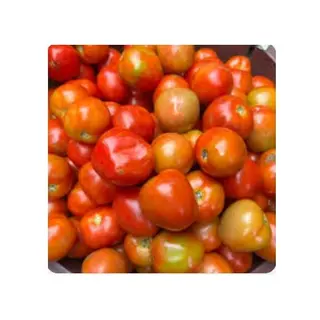 Tomate 1kg