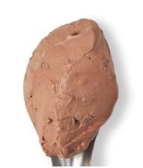 Fido Dido Chocolate Ice Cream 250Ml