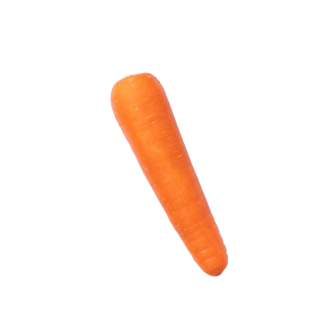 Carrot 1 unit