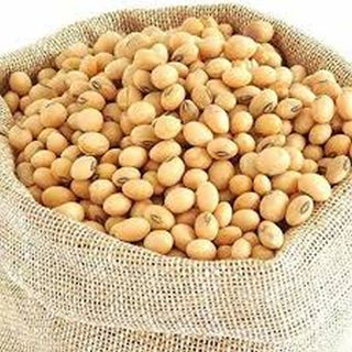 Soya Bean(Yellow Bean)
