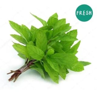 Mint Bunch