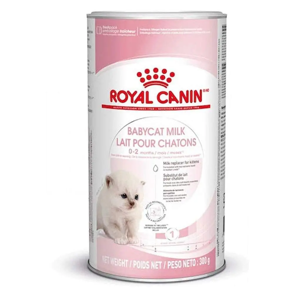 Laits et Alimentaion Chats