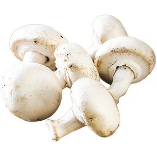 Champignon Extra 250g.