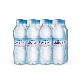 Pack Sidi Ali Eau minérale 12 x 50cl