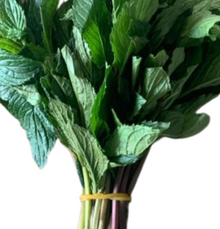 Evergreen Peppermint Bunch