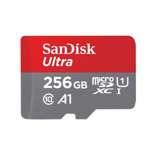 SANDISK MICRO CLASS 10 256GB