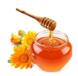Morie Honey 250G