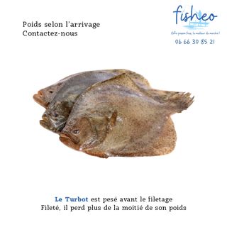 Turbot (+1kg)